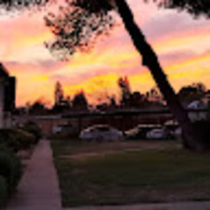 Meet your Posher, Shannen